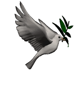 A beautiful dove flying into the heavens